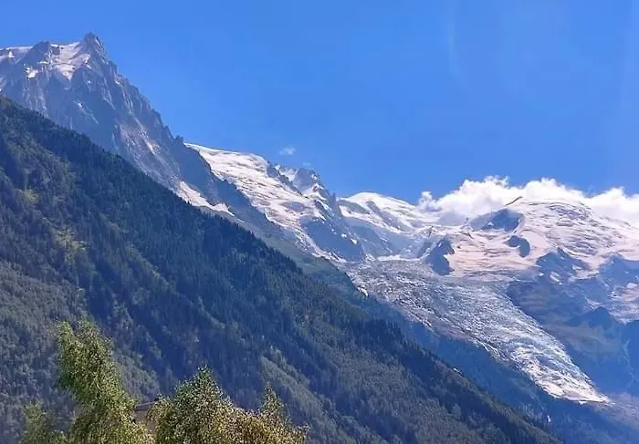 Appartement Appt Cosy Au Centre Chamonix