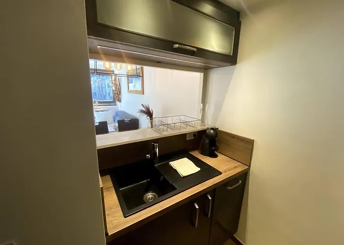 Appt Cosy Au Centre 公寓 *